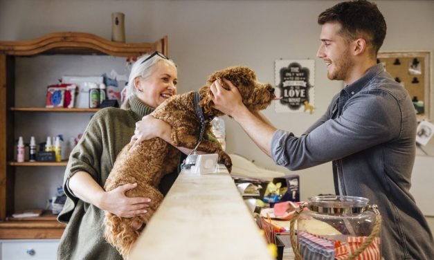 25 Pet Business Ideas
