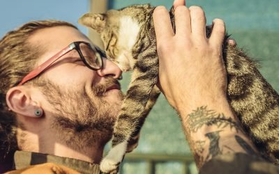 Chewy is the best place to shop online for all of your pet supplies, paws down