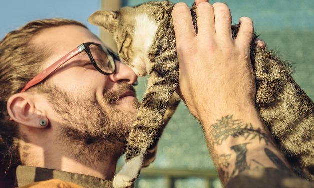 Chewy is the best place to shop online for all of your pet supplies, paws down