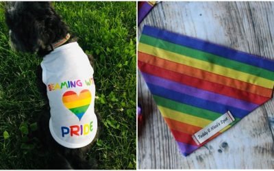 12 rainbow-hued accessories for your furry kid that every LGBT+ pet owner&nbsp;needs in their life