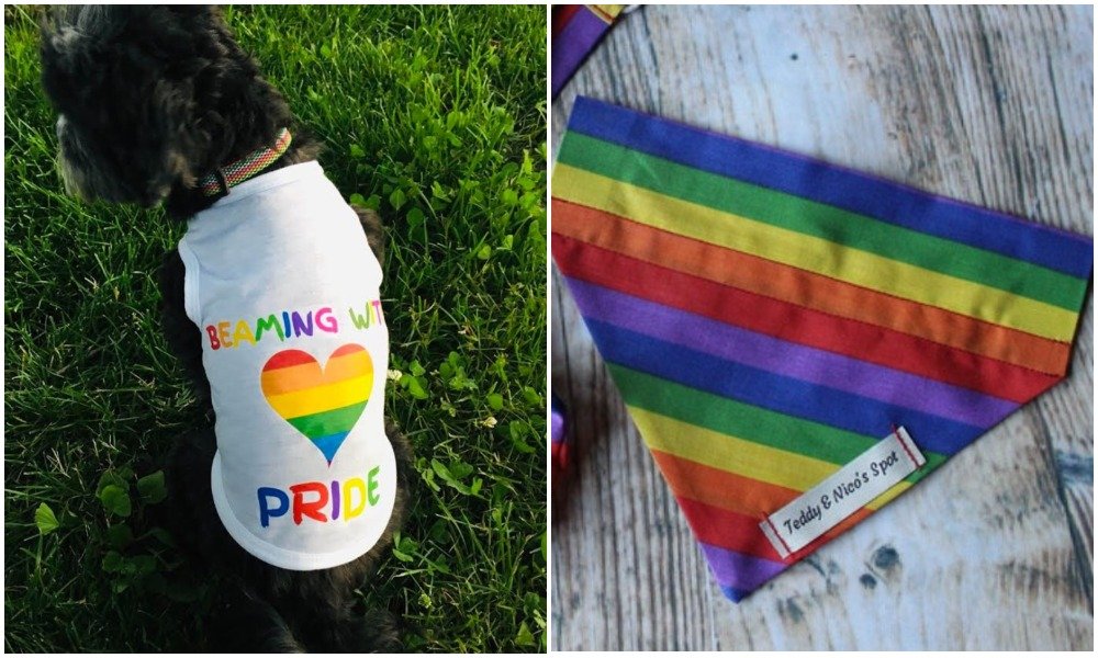 12 rainbow-hued accessories for your furry kid that every LGBT+ pet owner needs in their life