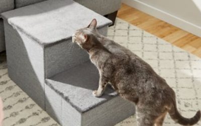 Frisco Pet Stairs w/ Storage for $32 in cart + free shipping w/ $49