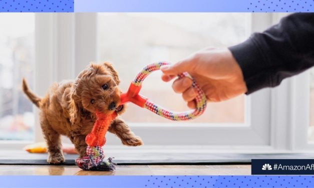 Best Prime Day pet deals 2021