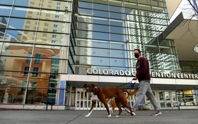 As people return to workplaces from home offices, pets will need help adjusting