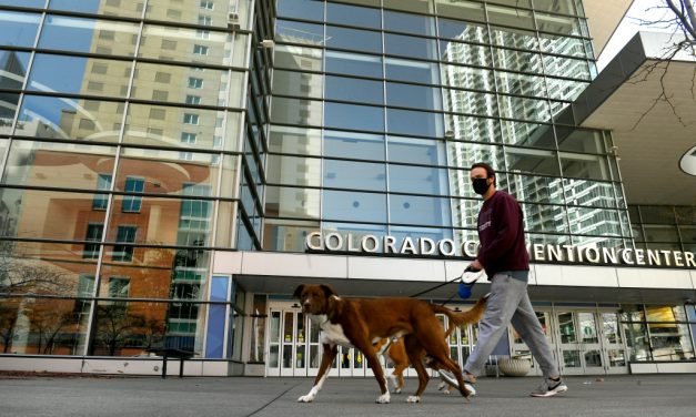 As people return to workplaces from home offices, pets will need help adjusting