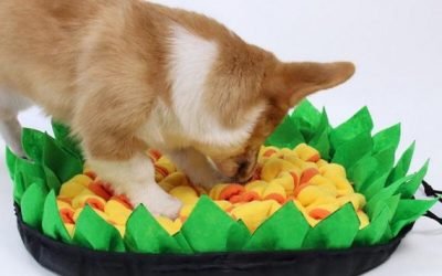 Pet Dog Sniffing Mat Slow Food Anti-Choke MatBite-Resistant Durable p[et Interaction Training Supplies