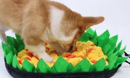 Pet Dog Sniffing Mat Slow Food Anti-Choke MatBite-Resistant Durable p[et Interaction Training Supplies