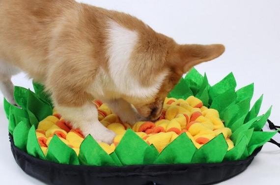 Pet Dog Sniffing Mat Slow Food Anti-Choke MatBite-Resistant Durable p[et Interaction Training Supplies