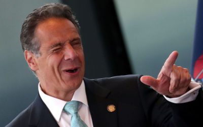 NY Judges to Assess ‘Best Interest’ of Pets in Divorce Cases if Cuomo Signs New Bill – Report