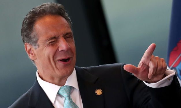 NY Judges to Assess ‘Best Interest’ of Pets in Divorce Cases if Cuomo Signs New Bill – Report