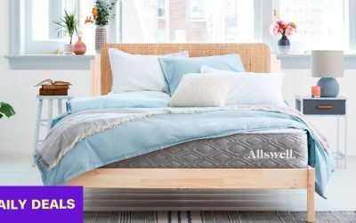 The best sales to shop today: Dyson, Madewell, Petco and more