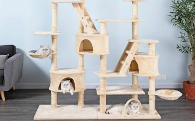 Petco is taking up to 50% off pet products at the Ruff & Mews Sales Event