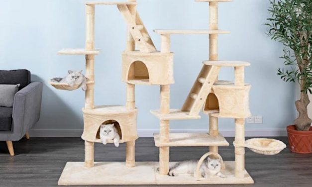 Petco is taking up to 50% off pet products at the Ruff & Mews Sales Event