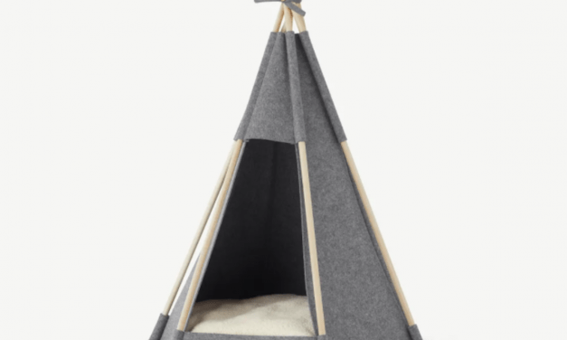 25 Perfect Pet Products Your Furry Friends Will Love