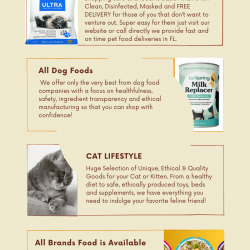Best Pets Food Online at Down Town Tabby Pet Store