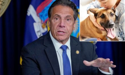 Judges will weigh ‘best interest’ of pets if Cuomo signs divorce bill