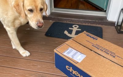 Chewy Review: Gus&rsquo;s Favorite Things!