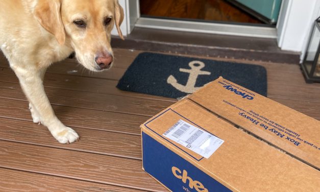 Chewy Review: Gus&rsquo;s Favorite Things!