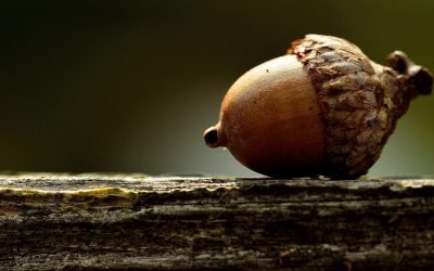 3 Small-Cap Stocks to Buy in August