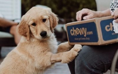 10% Off Chewy eGift Cards + BIG Savings on Pet Food, Treats & More