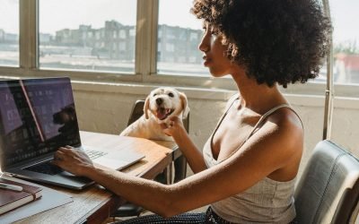 How Can You Start a Business When You Have a New Pet?