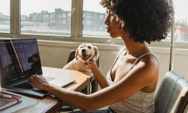 How Can You Start a Business When You Have a New Pet?