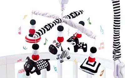 Top 10 Best water bowl dispenser for dogs Reviews