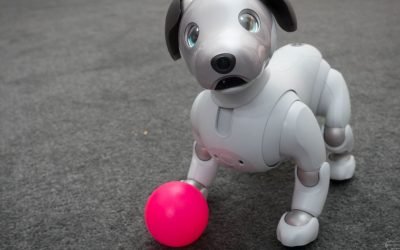 Before Astro, these were the robots people invited home