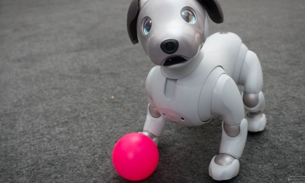 Before Astro, these were the robots people invited home