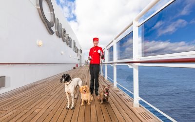 Can you cruise with your dog, cat or other pets?