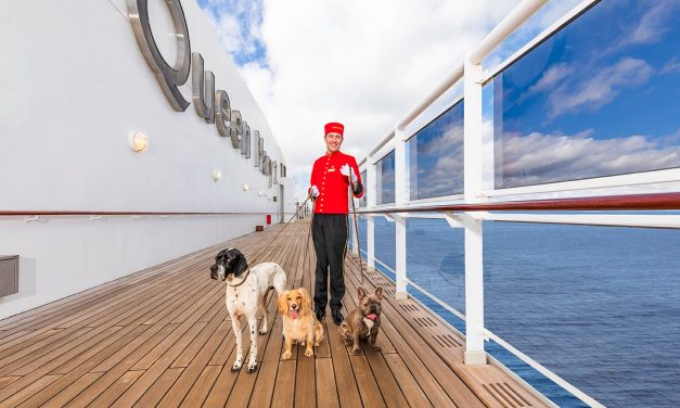 Can you cruise with your dog, cat or other pets?