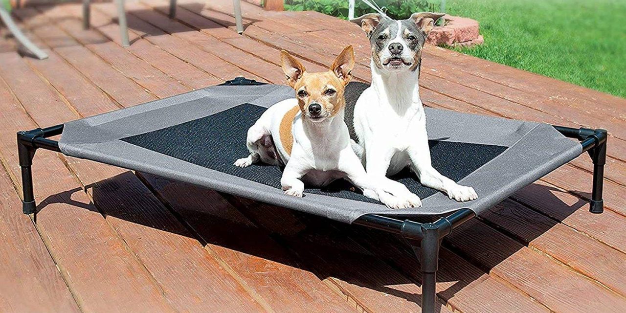 Amazon’s K&H Pet Supplies sale has the luxurious beds your dog or cat deserves