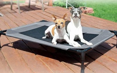Amazon&rsquo;s K&H Pet Supplies sale has the luxurious beds your dog or cat deserves
