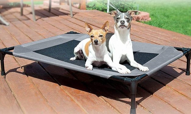 Amazon&rsquo;s K&H Pet Supplies sale has the luxurious beds your dog or cat deserves