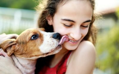 Save Money on Pet Care with These 21 Tips