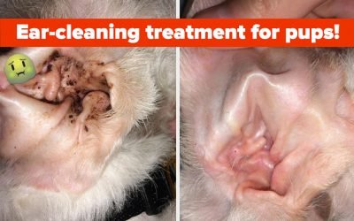 43 Products With Before-And-Afters That'll Be Seared In Your Brain