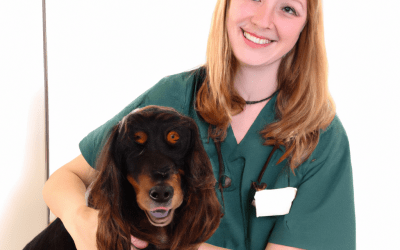 The Right Care For Your Pet