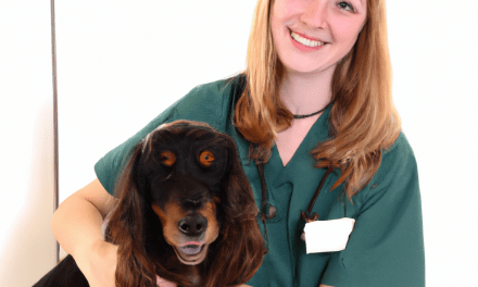 The Right Care For Your Pet