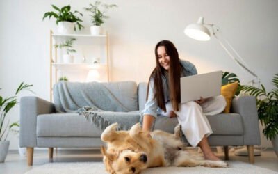 Scratch This, Not That: Pet-Safe Materials for Your Home