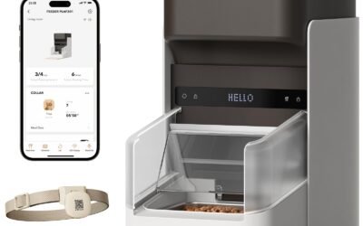 PETLIBRO Upgraded RFID Automatic Cat Feeder Review: Can You Do Without It?