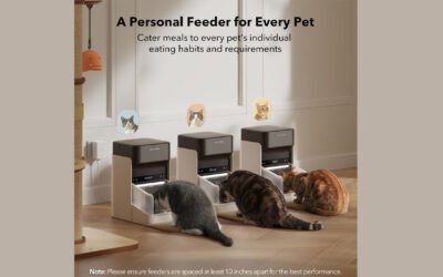 PETLIBRO Upgraded RFID Automatic Cat Feeder Review