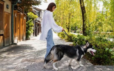 Building a Pet Care Business from Scratch: Steps to Get Started