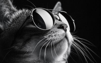 The Perfect Cat Gift List For 2024