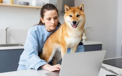 How to Launch an Eco-Friendly Pet Care Business That Sticks for the Long Term