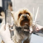 The Smart Start: Launching a Mobile Pet Grooming Business with Strategy and Heart